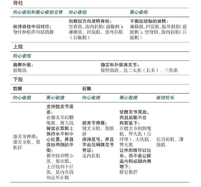 Parivrtta Trikonasana 旋转三角式