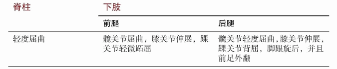 Parsvottanasana 加强侧伸展式