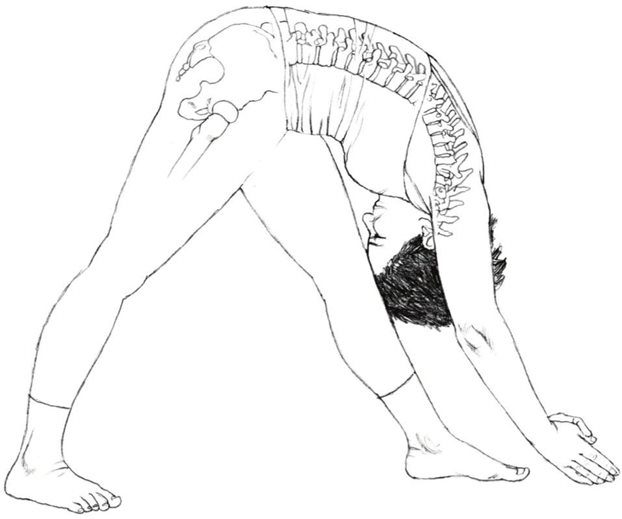 Parsvottanasana 加强侧伸展式