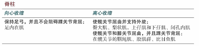 Upavesasana 下蹲式
