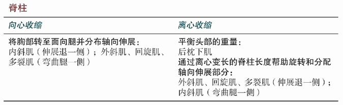 Mahamudra 内女式