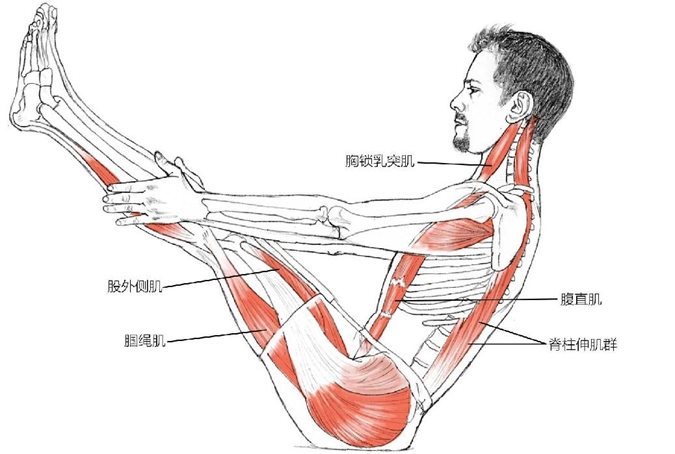 股外侧肌腘绳肌胸锁乳突肌腹直肌脊柱伸肌群