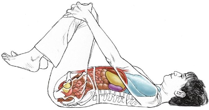 Apanasana 下行气姿势、风速释放姿势