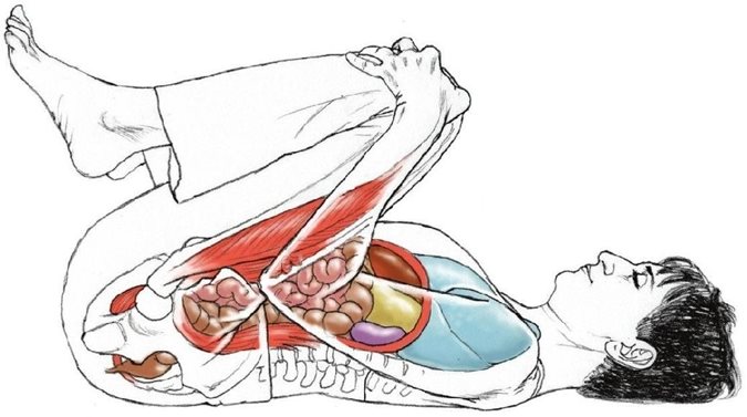 Apanasana 下行气姿势、风速释放姿势