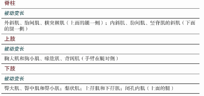 Jathara Parivrtti 腹部扭转式