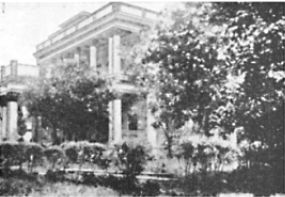 第22章 石雕圣像之心