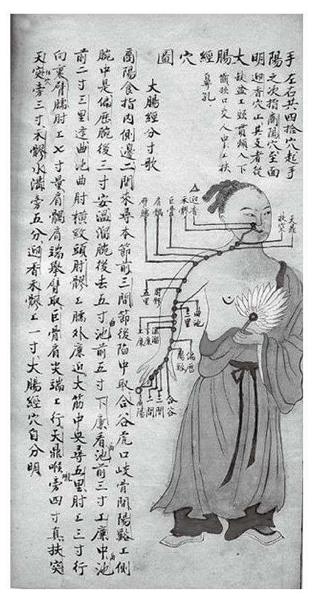 标本阴阳