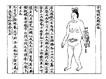 妊娠禁忌
