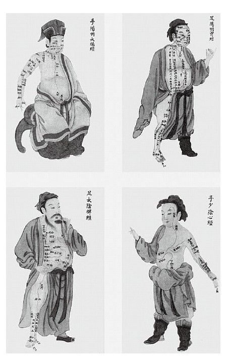 饮食禁忌