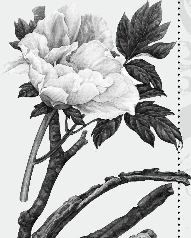 百病主治药