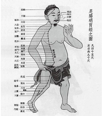 脾胃
