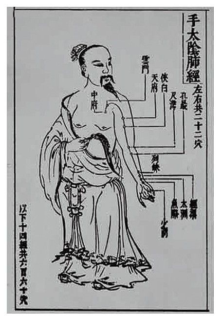 鼻