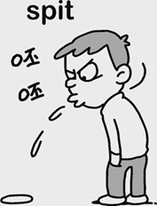 080A-spit.jpg