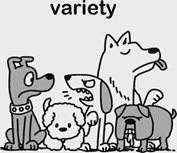 004A-variety.jpg