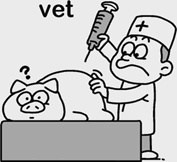 065A-vet.jpg