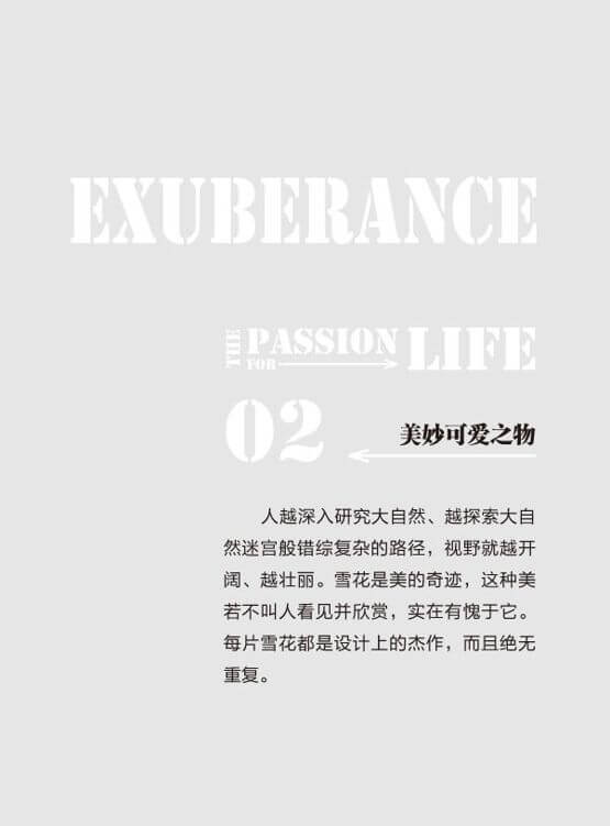 第2章 美妙可爱之物