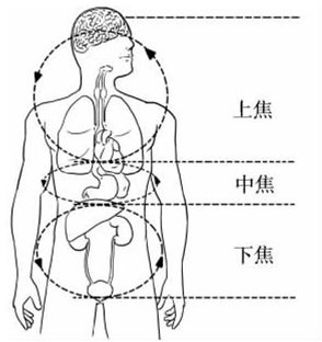 理三焦，可控制湿热泛滥