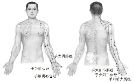7.沿着经络去找大药是最省事的
