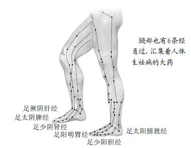 7.沿着经络去找大药是最省事的