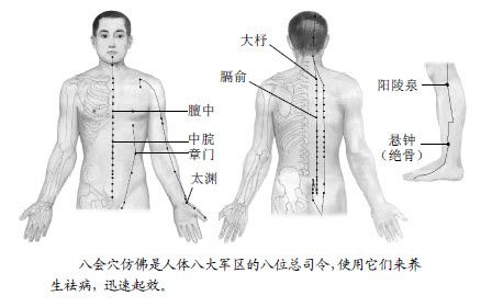 8.高升点也可以是特定的穴位