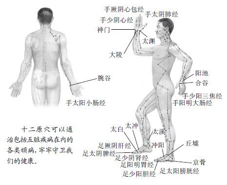 8.高升点也可以是特定的穴位