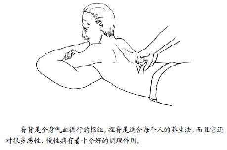2.脊背是面向太阳生长的大药