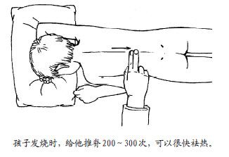 2.脊背是面向太阳生长的大药
