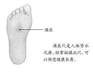 4.涌泉是我们生命的泉眼