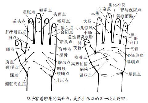 1.分布在手上的大药