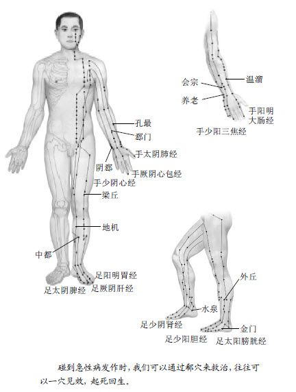 3.有急病的时候,郗穴就是最神的药