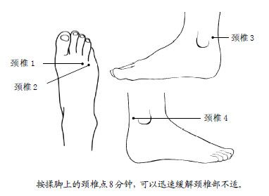 7.治疗颈椎病,一压脚上的4个点就好
