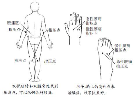 9.肘部和腿弯处就是现成的治各类腰痛的大药