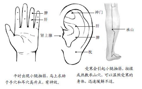 12.经常小腿抽筋，压耳朵和手比什么药都见效