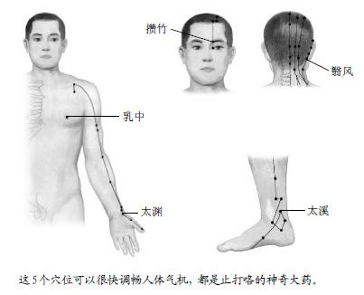 2.治呕吐、打咯，哪离得开中魁