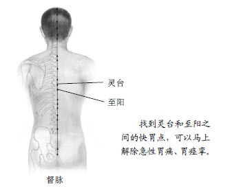 3.治胃病，人体有最多最好的大药