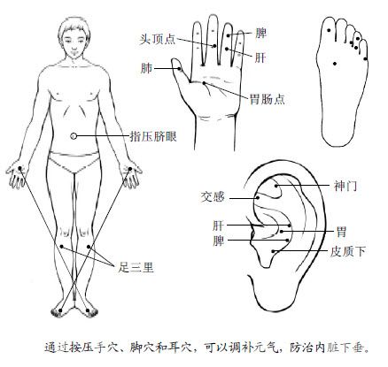 3.治胃病，人体有最多最好的大药