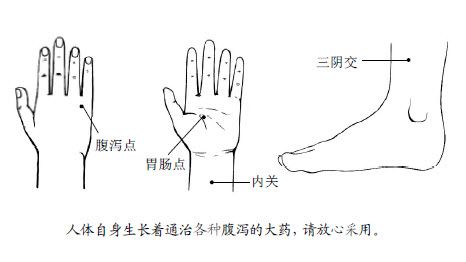 6.腹泻点是通治腹泻的第一味人体大药