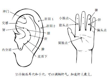8.肝胆有病，扶阳散郁
