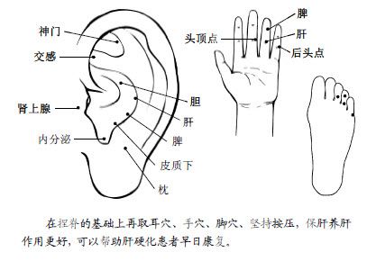 8.肝胆有病，扶阳散郁