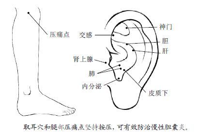 8.肝胆有病，扶阳散郁