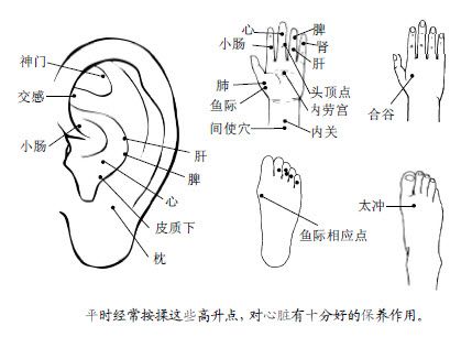 4.心脏不好,一定要天天去身上采药
