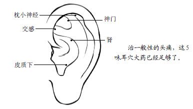 6.治各种头痛的特效药就长在您身上