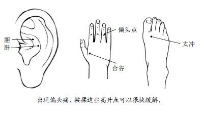 6.治各种头痛的特效药就长在您身上
