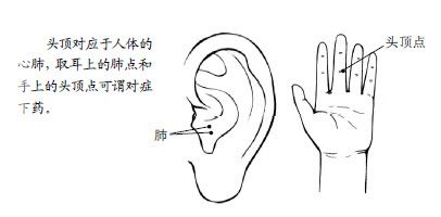 6.治各种头痛的特效药就长在您身上