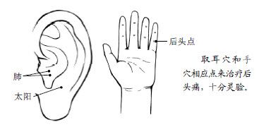 6.治各种头痛的特效药就长在您身上