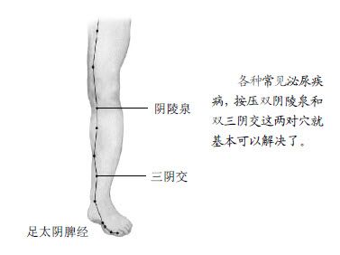 1.两对穴就可以保证人体的下水道畅通无阻