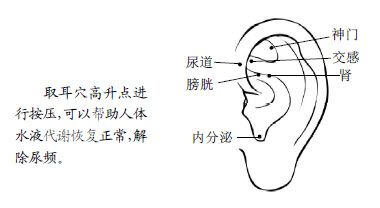 1.两对穴就可以保证人体的下水道畅通无阻