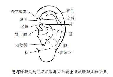 1.两对穴就可以保证人体的下水道畅通无阻