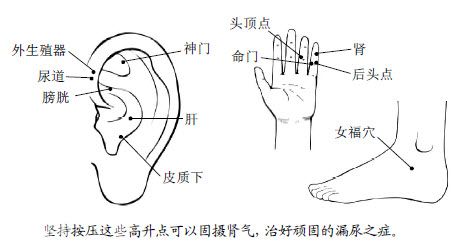 1.两对穴就可以保证人体的下水道畅通无阻