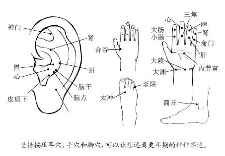 4.教您用大药来调理自己的更年期
